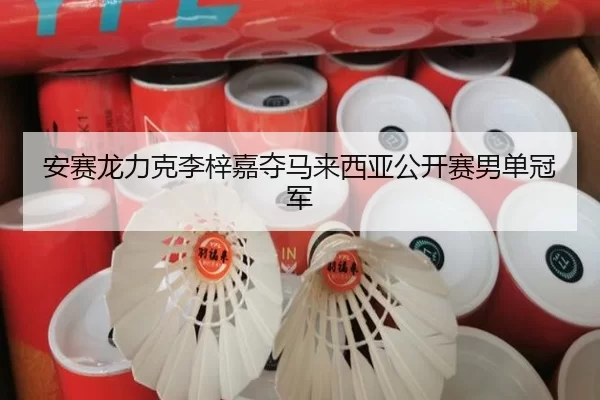 安赛龙力克李梓嘉夺马来西亚公开赛男单冠军