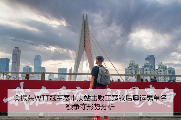 樊振东WTT冠军赛重庆站击败王楚钦后奥运男单名额争夺形势分析