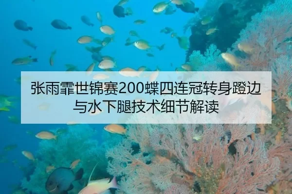张雨霏世锦赛200蝶四连冠转身蹬边与水下腿技术细节解读